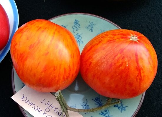 Жемчужина Джанет